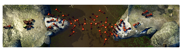 图片[6]-地下蚁国/Empires of the Undergrowth（更新v1.000419）-新秀游戏吧